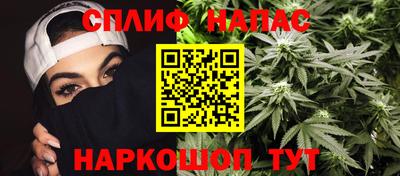 spice Пенза