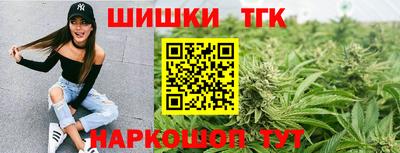 spice Пенза