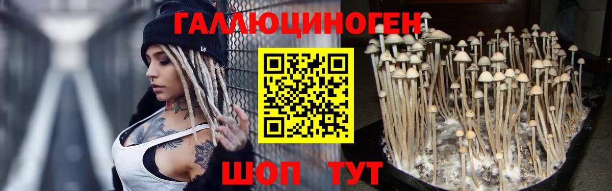 Галлюциногенные грибы Psilocybe  Вход с VPN  Сергиев Посад 